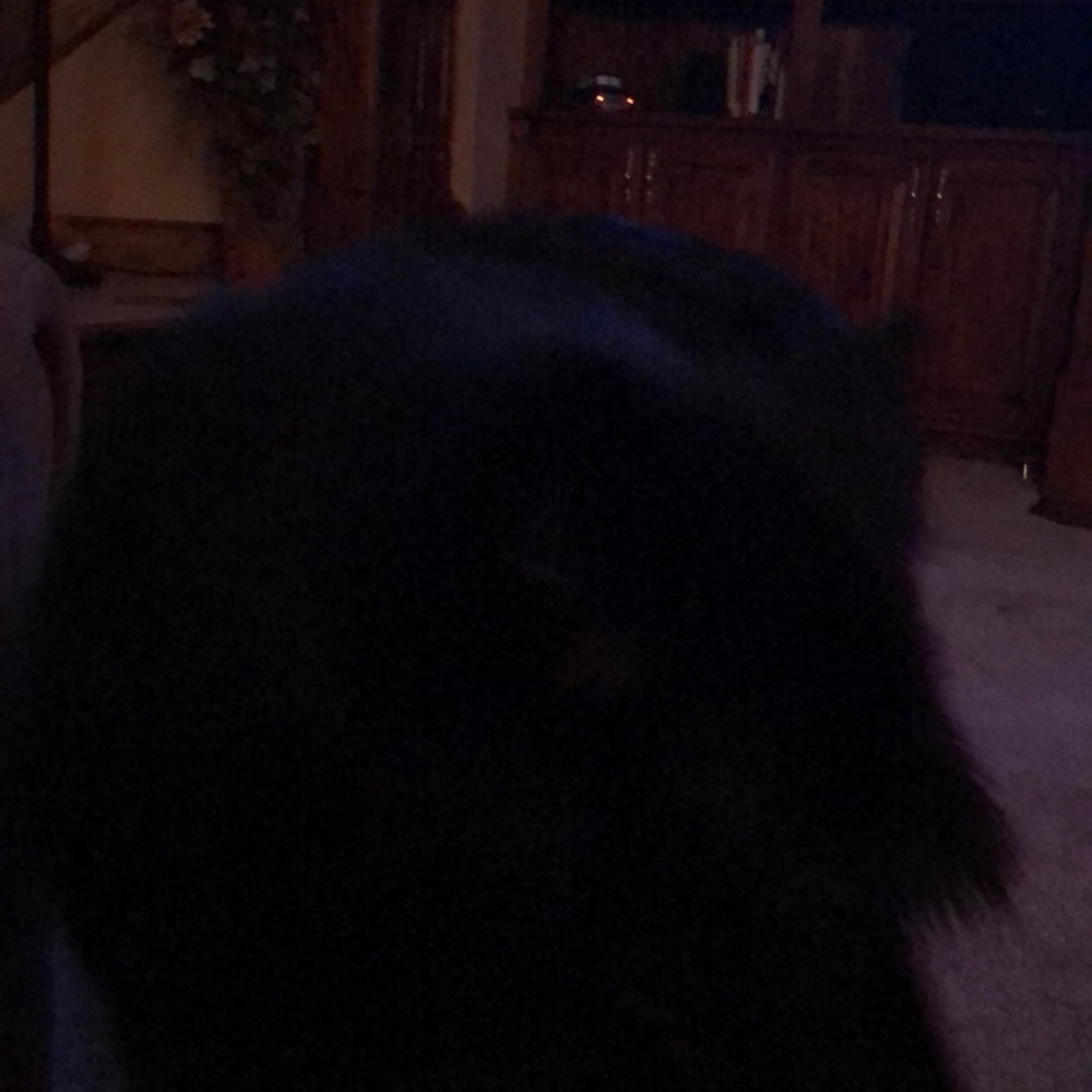 Meet your Posher, Kim